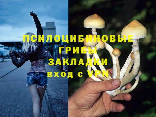 эйфоретик Абаза