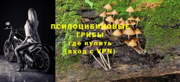 ешки Аша